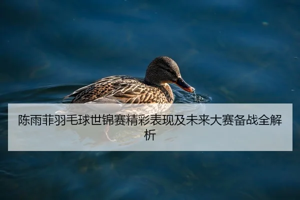 陈雨菲羽毛球世锦赛精彩表现及未来大赛备战全解析 | 8868 SPORTS